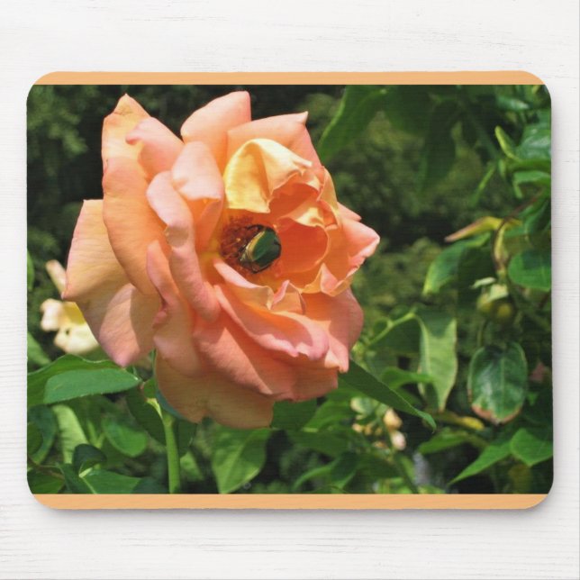 Mousepad Besouro em uma Rosa (Frente)
