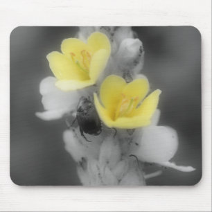 Mousepad Besouro No Bocal Branco Preto Da Flor Mullein