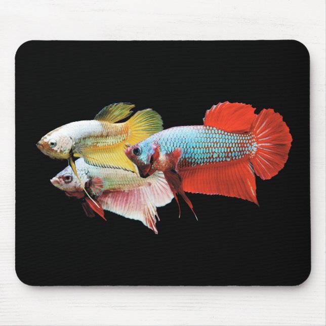 Mousepad Betta (Frente)