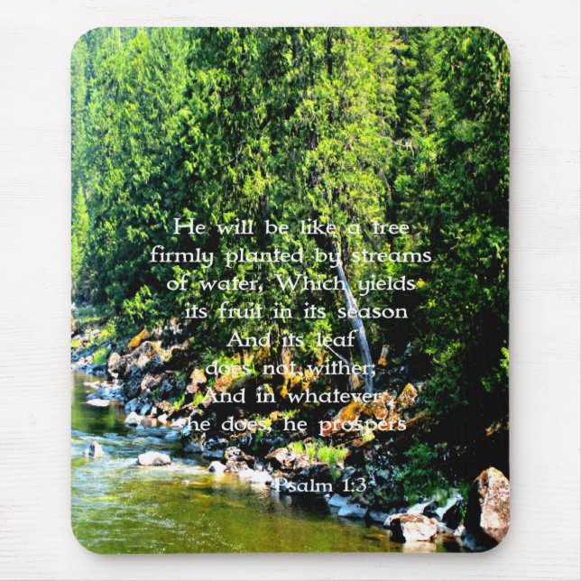 Mousepad Bíblia de Fotografia da Floresta Cristã Verse (Frente)
