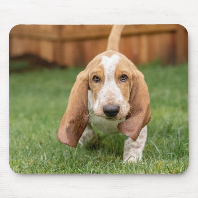 Mousepad Bicho De Bebê Andando (Frente)