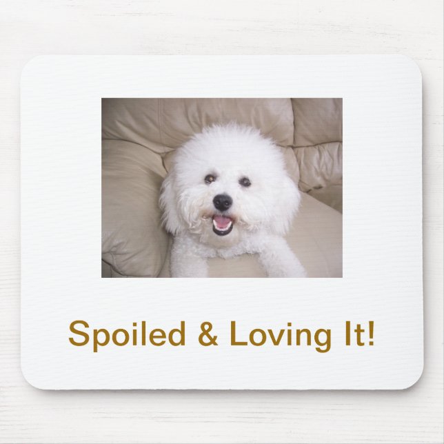 Mousepad Bichon Frise (Frente)