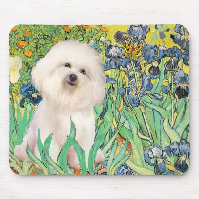 Mousepad Bichon Frise 4  - Íris (Frente)