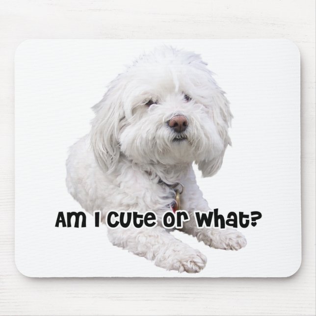 Mousepad Bichon Frise Dog (Frente)