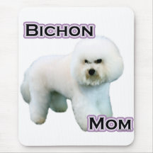 Bichon Frise Mãe 4