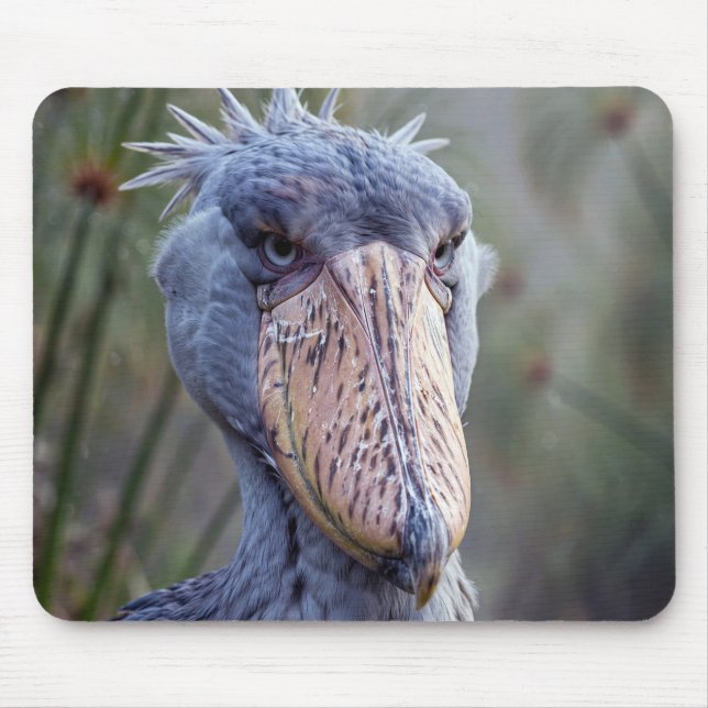 Mousepad Bico-de-sapato (Frente)