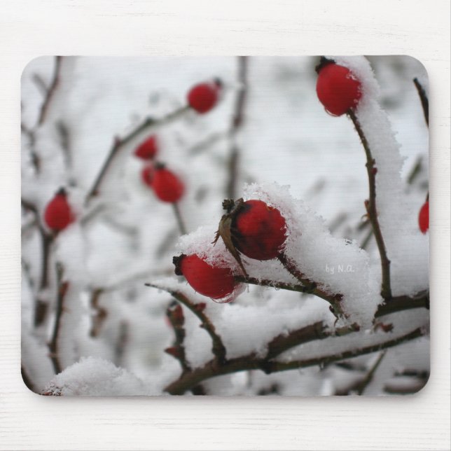 Mousepad big_winter (Frente)