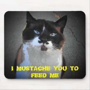 MOUSEPAD BIGODE VOCÊ CAT ESTÁ COM FOME