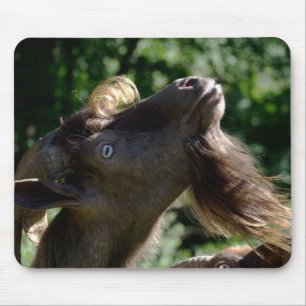 Mousepad Billy Goat