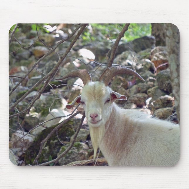 Mousepad Billy Goat (Frente)