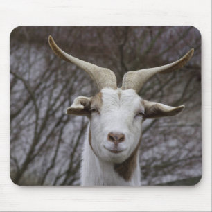 Mousepad Billy Goat