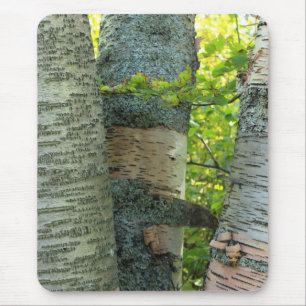 Mousepad BirchTree