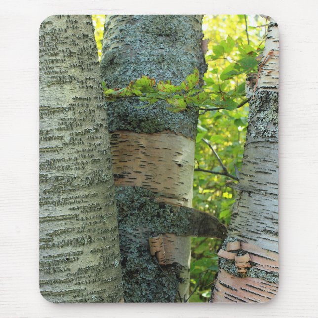 Mousepad BirchTree (Frente)