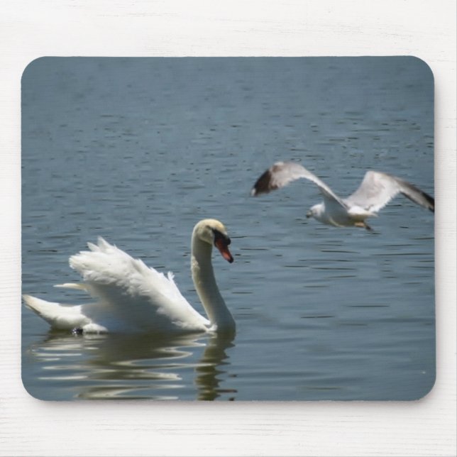 Mousepad Bird e Swan sobre o lago Morton (Frente)