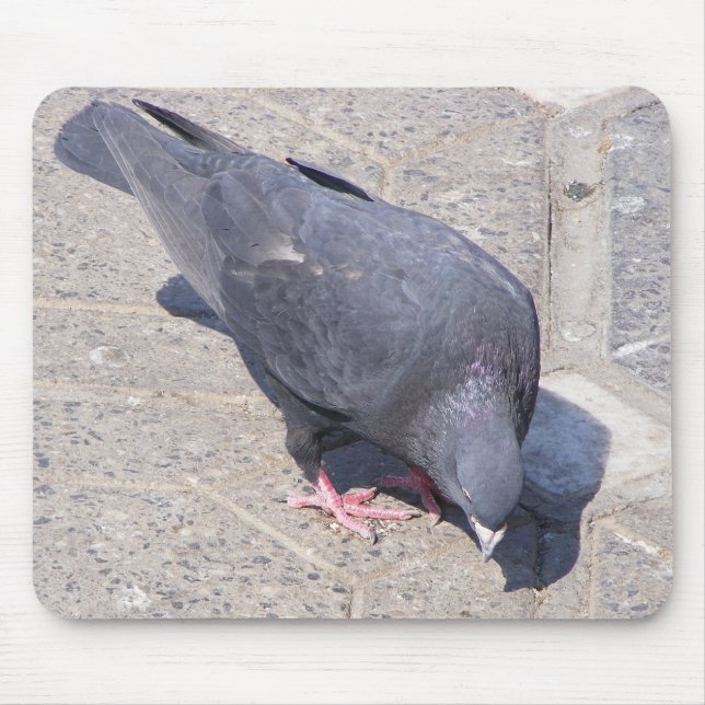 Mousepad Bird Pad (Frente)