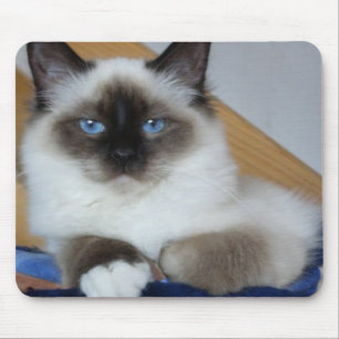 Mousepad birman 2.png