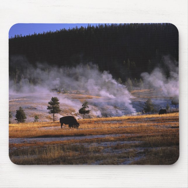 Mousepad Bisões pastando na Bacia de Gêiser Superior (Frente)