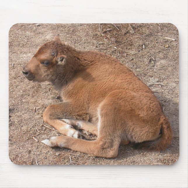 Mousepad Bison Calf (Frente)