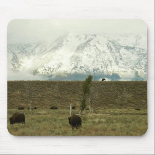 Mousepad Bison no Grand Teton National Park Fotografia