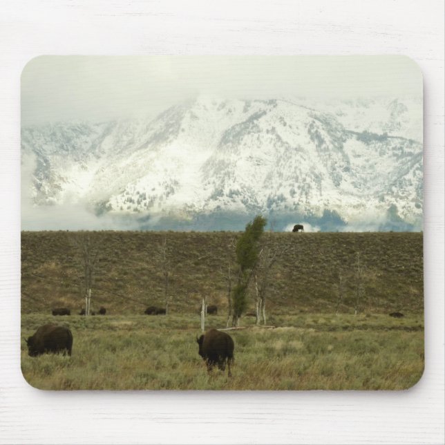 Mousepad Bison no Grand Teton National Park Fotografia (Frente)