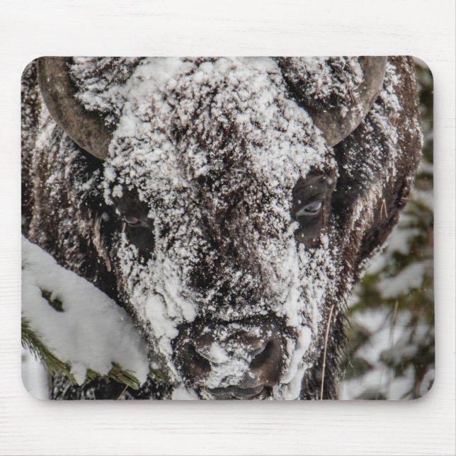 Mousepad Bison Yellowstone Cobrado por Neve (Frente)