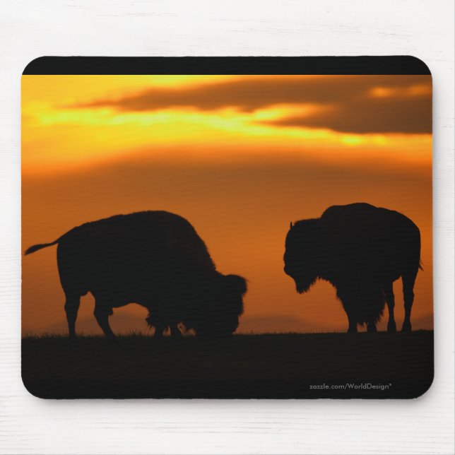 Mousepad Bisonte (Frente)