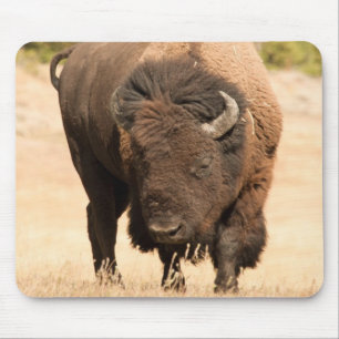 Mousepad Bisonte