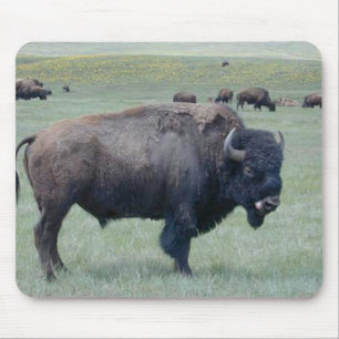 Mousepad Bisonte