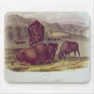 Mousepad Bisonte americano ou búfalo
