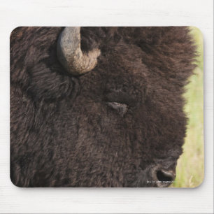 Mousepad Bisonte americano, South Dakota