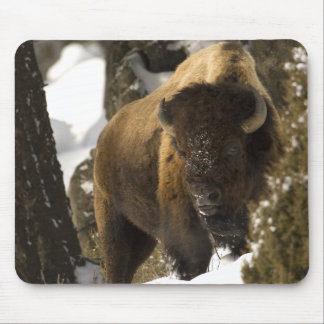Mousepad Bisonte Bull de Yellowstone no inverno -