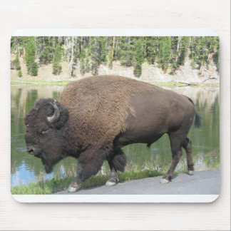 Mousepad Bisonte de Yellowstone