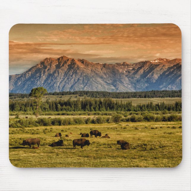Mousepad Bisonte no nascer do sol (Frente)