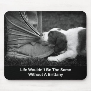 Mousepad Biter do tornozelo