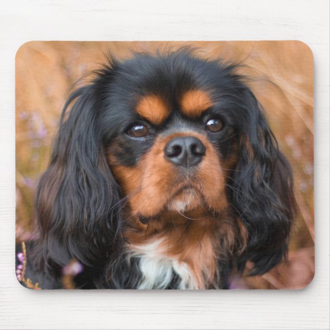 Mousepad Black and Tan Cavalier King Charles Spaniel Dog (Frente)