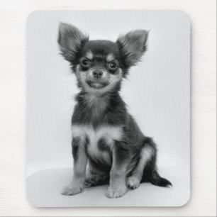 Mousepad Black and White Chihuahua Puppy Photo