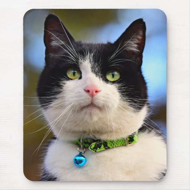 Mousepad Black and White Shorthair Cat (Frente)