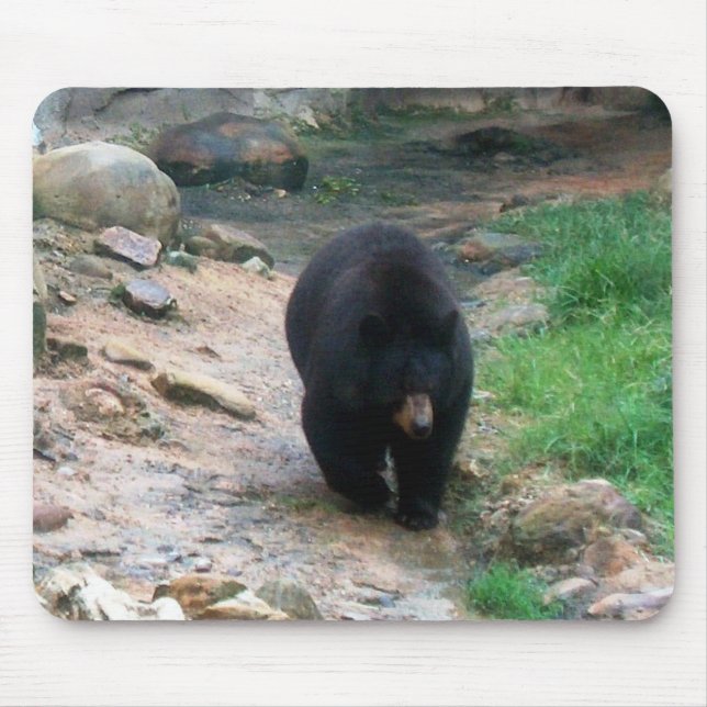 Mousepad Black Bear Americano (Frente)