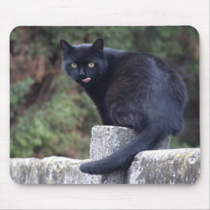 Mousepad Black Cat