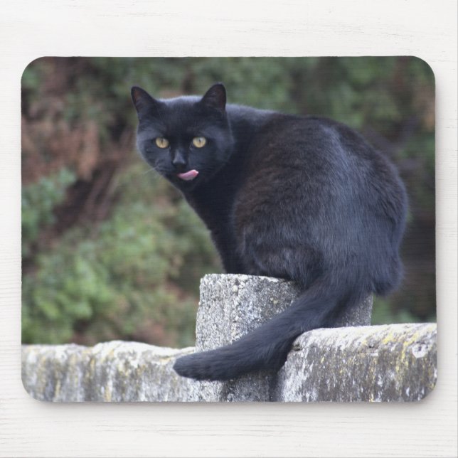 Mousepad Black Cat (Frente)