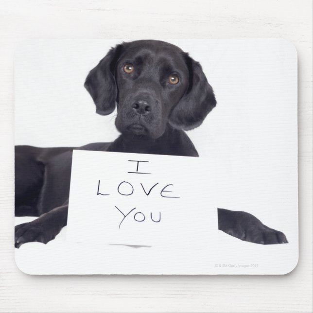 Mousepad Black Labrador 13 Meses (Frente)