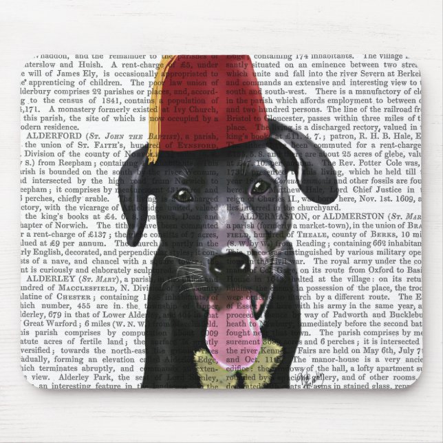 Mousepad Black Labrador Com Fez (Frente)