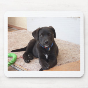Mousepad Black Labrador Retriever Puppy