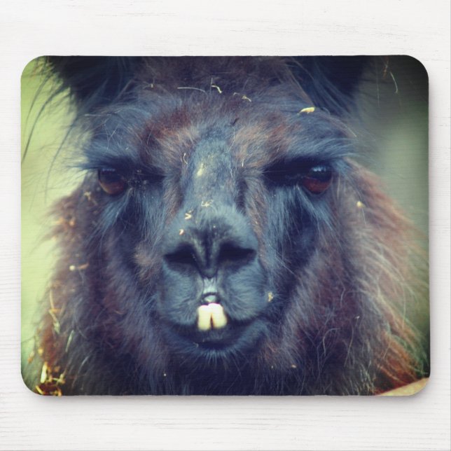 Mousepad Black Lama Face Animal (Frente)