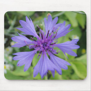 Mousepad blaue Kornblume