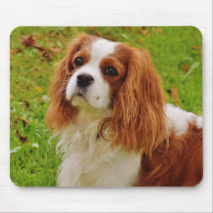 Mousepad Blenheim Cavalier King Charles Spaniel Puppy Dog