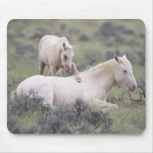 Bloco de Acordar do irmão