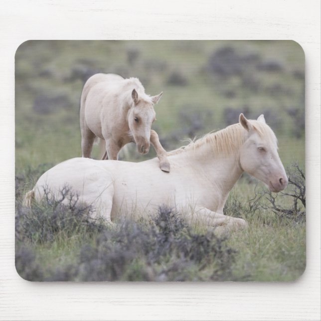 Mousepad Bloco de Acordar do irmão (Frente)