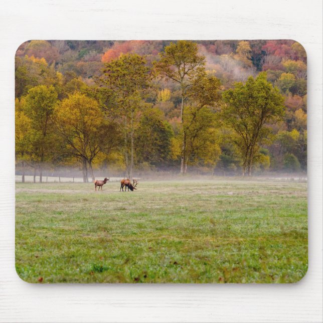 Mousepad Bloco de Casal de Elk Grazing (Frente)