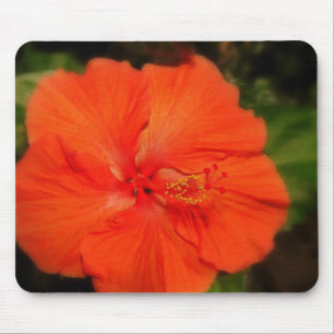 Mousepad Bloco de Flores Laranja Hibiscus
